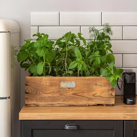 Bulvar Premium Starowka شقة *