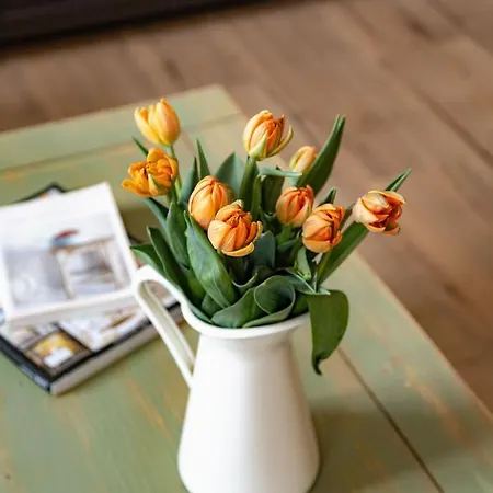 شقة Bulvar Premium Starowka