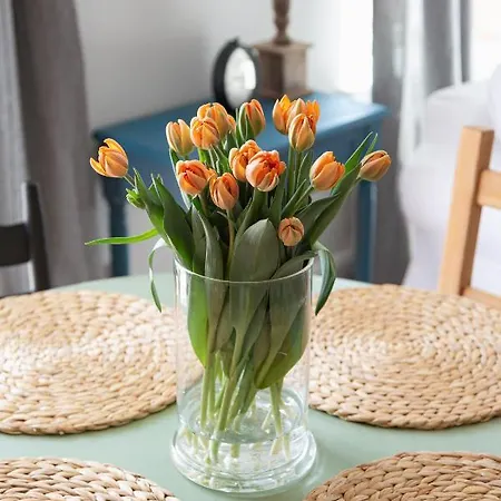 شقة Bulvar Premium Starowka *